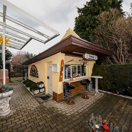 Pension Seilerberg Freiberg Bagian luar foto